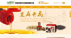 Desktop Screenshot of jnzmkh.com